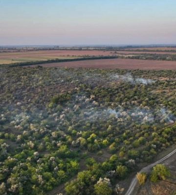 На Миколаївщині майже добу гасили пожежу в Андріївському лісі
