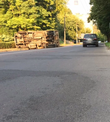 У Луцьку посеред вулиці впало дерево