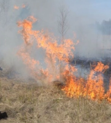 Поблизу Львова вогнеборці ліквідували займання сухої трави