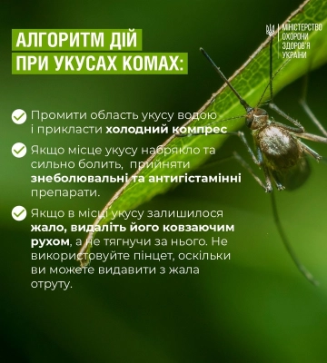 Алгоритм дій при укусах змій та комах