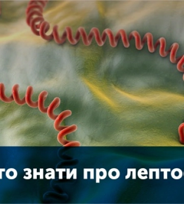 У Первомайську від лептоспірозу померла одна людина