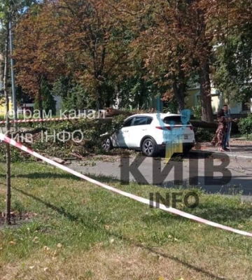 У Києві через сильні пориви вітру падають дерева (фото, відео)