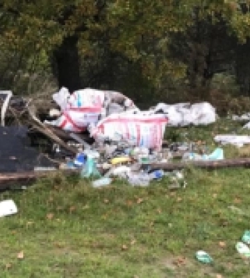 Люди утворили пів сотні сміттєзвалищ у лісах Волині та Рівненщини