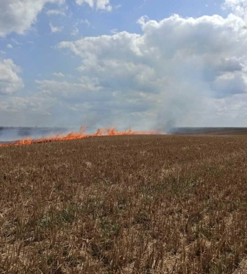 На Волині горіла стерня: палія спіймали