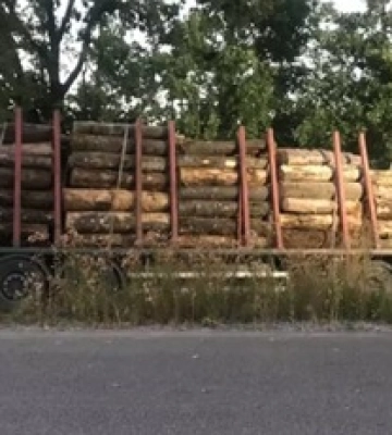 В Винницкой области в аварии погибли 9 человек, среди жертв - дети: фото и первые подробности