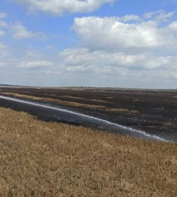На Волині горіло поле – палія вже розшукали 