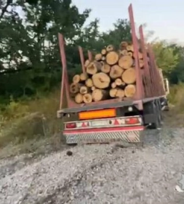 Масштабна ДТП сталася у Вінницькій області - загинуло 9 осіб, серед яких є діти, - Нацполіція. ФОТО