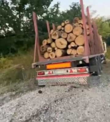 На Вінниччині в аварії за участю двох автомобілів загинули дев&#039;ятеро людей