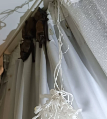 В Луцке жители квартиры, уехавшие из дома на несколько дней, застали новых жителей: фото