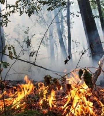 Криворіжців попереджають про пожежну небезпеку