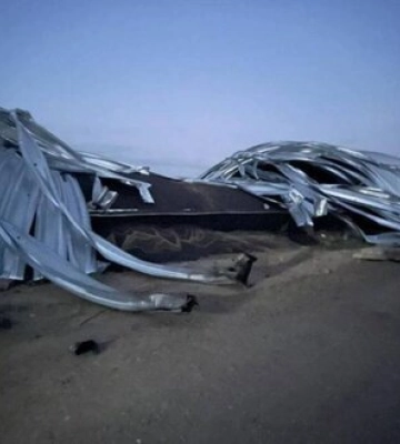 Вночі окупанти знищили в Ізмаїлі 13 тисяч тонн зерна, яке призначалось Єгипту та Румунії, - Кубраков