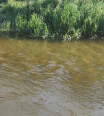 У трьох водоймах Острожчини вода непридатна для купання