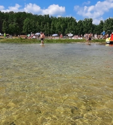 На Світязі помутніла вода: що не так із популярним озером на Волині