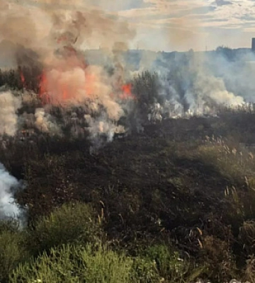 Рятувальники Дніпропетровщини за добу ліквідували 26 пожеж в екосистемах