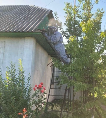 Волинські рятувальники знищили гнізда шершнів та врятували пса 