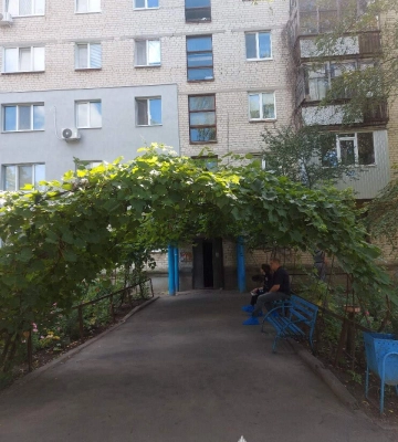 У селищі під Харковом жінка тримала 15 собак у голоді і майже без води