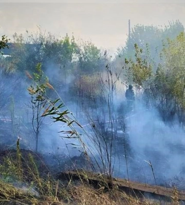 Ворог обстріляв приватний сектор у Вовчанську: горіла суха трава 