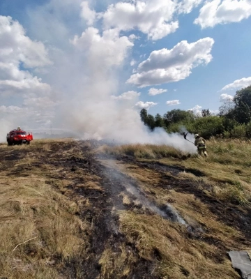 На Волині горіли чагарники
