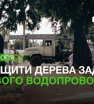 Сотни здоровых деревьев планируют уничтожить для реконструкции водопровода в Николаеве