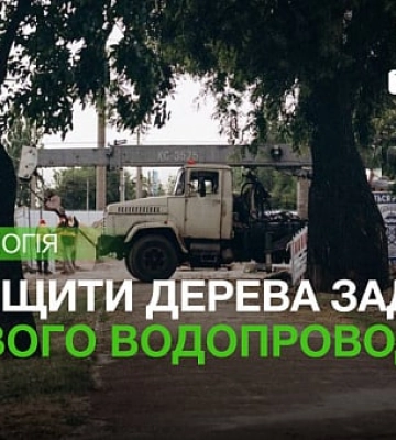 Сотні здорових дерев планують знищити задля реконструкції водопроводу у Миколаєві