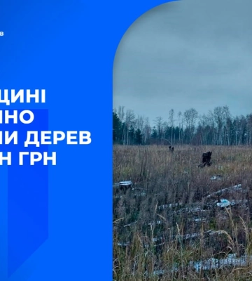 Незаконна рубка дерев на Київщині: затримали чиновників, які завдали збитків державі на 17 млн грн