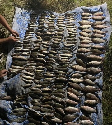 На Одещині затримали браконьєра, який ловив рибу трьома сітками без відповідного дозволу