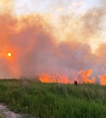 На Чернігівщині внаслідок горіння сухої трави загинула людина