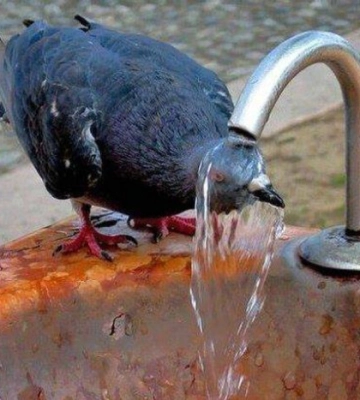 Спека до +35°C та грозові дощі: прогноз погоди на вихідні від Наталки Діденко
