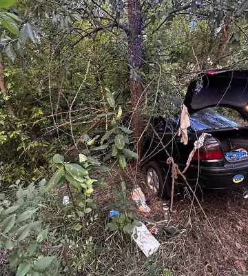 Під Кам’янським водій на Opel Omega врізався в дерево