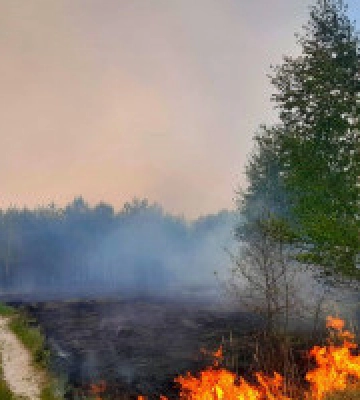 На Київщині оголосили надзвичайний рівень пожежної небезпеки: відомо подробиці