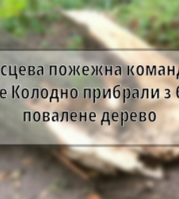 На Львівщині рятувальники місцевої пожежної команди прибрали повалене на будинок дерево