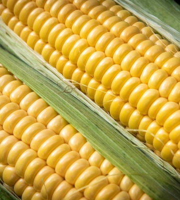 Де відбудуться продуктові ярмарки в Києві з 28 серпня до 3 вересня: адреси від КМДА