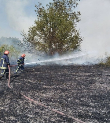 Отримала тяжки опіки: На Вінниччині внаслідок паління трави постраждала жінка (ФОТО)
