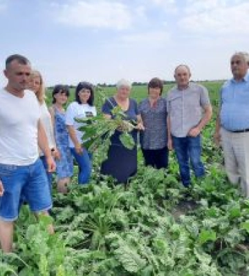 Польові дослідження на стрес: як за середніх затрат домогтися успішного господарювання