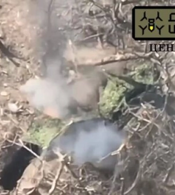 Знищення ворожої позиції окупантів FPV-дроном &quot;Дикі Шершні&quot;. ВIДЕО