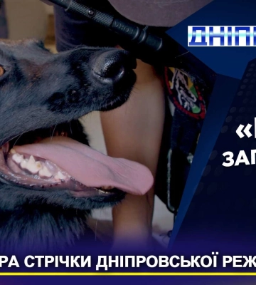 Кіно про Антарес: Катерина Стрельченко зняла фільм про кінологічний загін