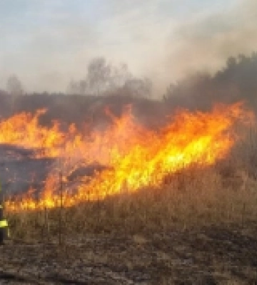 У Рованцях біля Луцька горіла суха трава