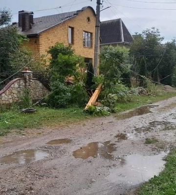 На Львівщині дерево впало на автомобіль, в якому перебувала сім’я з дітьми (ФОТО)