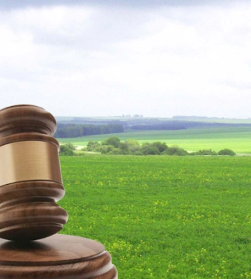 У Луцьку на аукціоні продадуть земельну ділянку біля Київського майдану