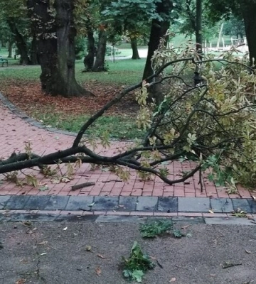 Грози та град. Якою буде погода у Львові сьогодні