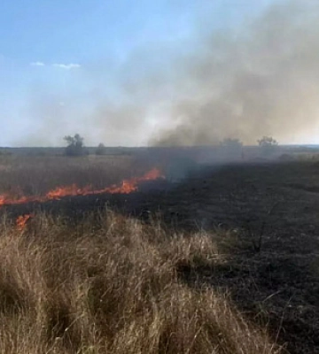На Дніпропетровщині протягом доби вогнеборці ліквідували 34 пожежі в екосистемах