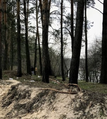 У Рівненській ОВА нагадали, які ліси на півночі заборонено відвідувати