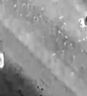 &quot;Нічна пташка&quot; на Одещині допомогла впіймати порушника кордону, -  ВІДЕО