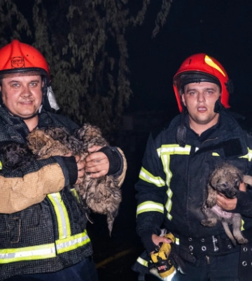 У Хмельницькому під час ліквідації пожежі у ресторанному комплексі вогнеборці врятували 6 цуценят