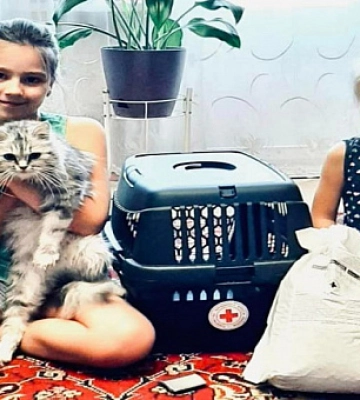 Погода в Кривом Роге 31 августа