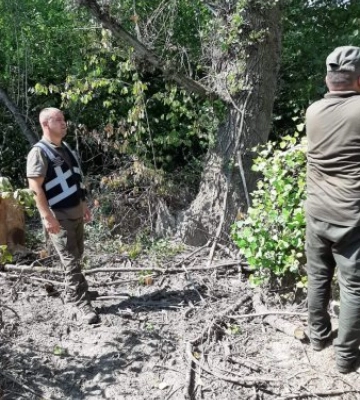Держекоінспекція Закарпаття виявила у парку на Виноградівщині самовільну рубку на  мільйонні збитки