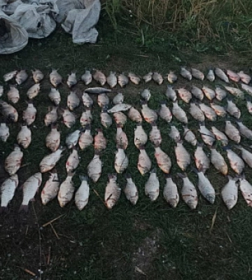 В Криворожском районе мужчина наловил рыбы 12 сетками на 200 тысяч гривен убытков
