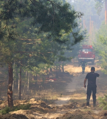 На Полтавщині під час пожежі згоріли кілька гектарів лісу, врятували лісовий масив площею 45 га