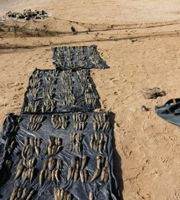 Житель Одещини наловив бичків на майже 800 тисяч гривень