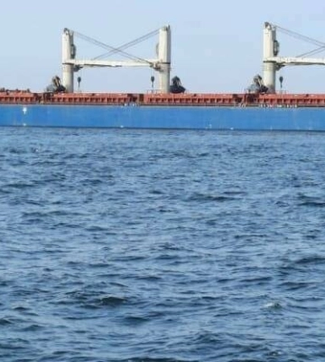 Из порта Одесской области вышли еще два судна после остановки «зерновой сделки»